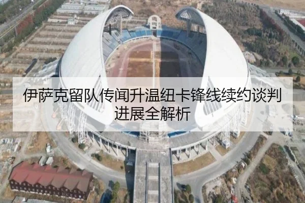 伊萨克留队传闻升温纽卡锋线续约谈判进展全解析